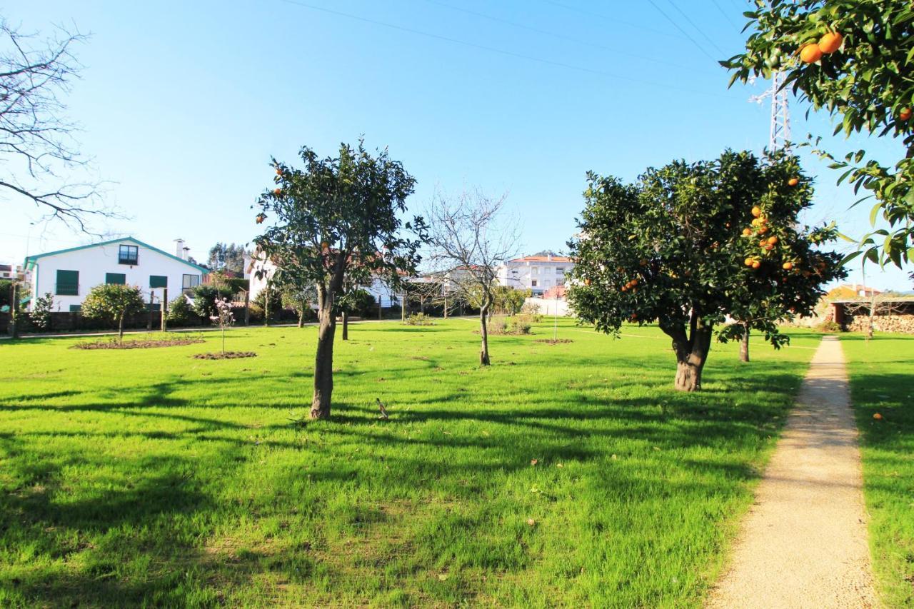 Villa Casa Dos Ouricos Ponte de Lima Exterior foto